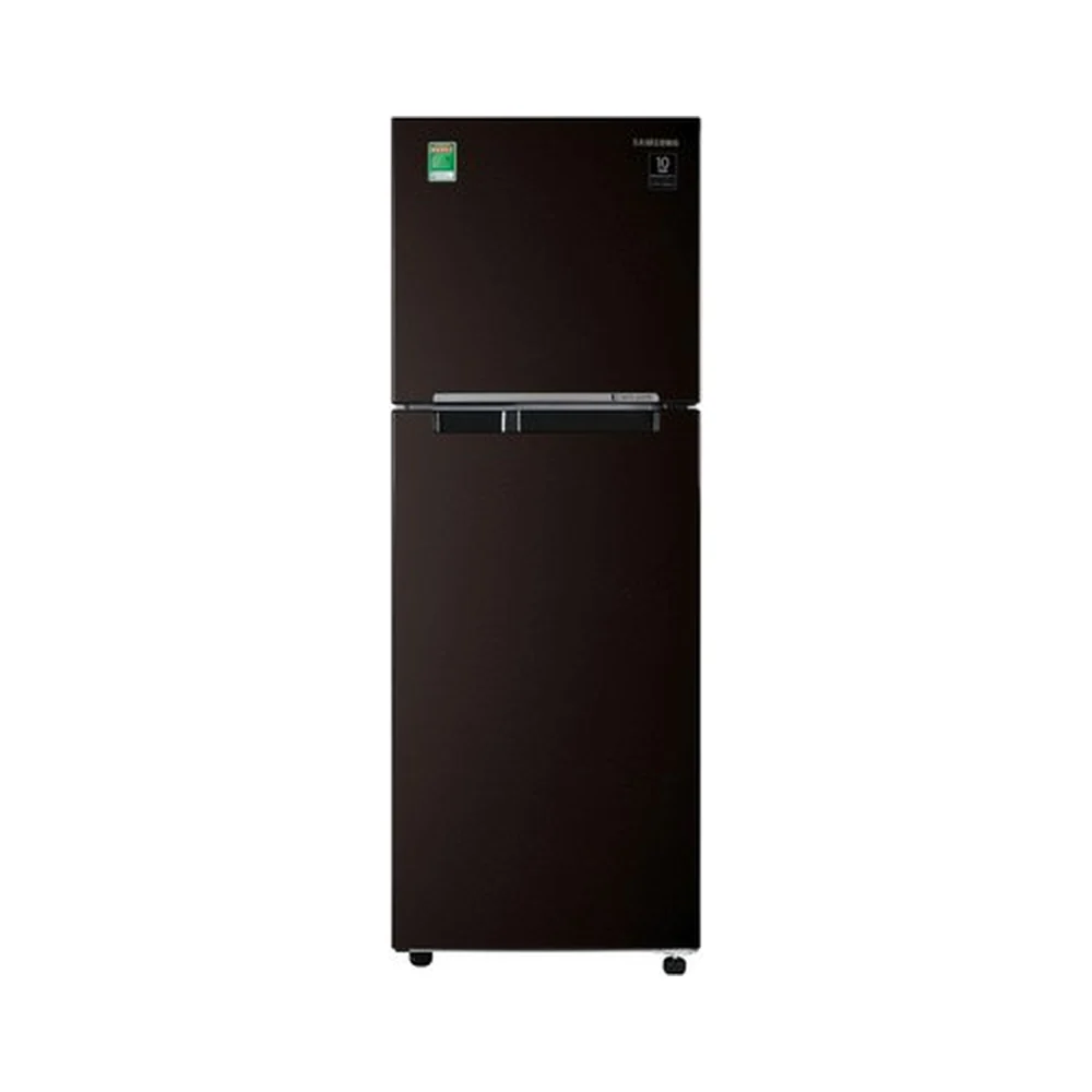 Tủ lạnh Samsung Inverter 236 lít RT22M4032BY/SV