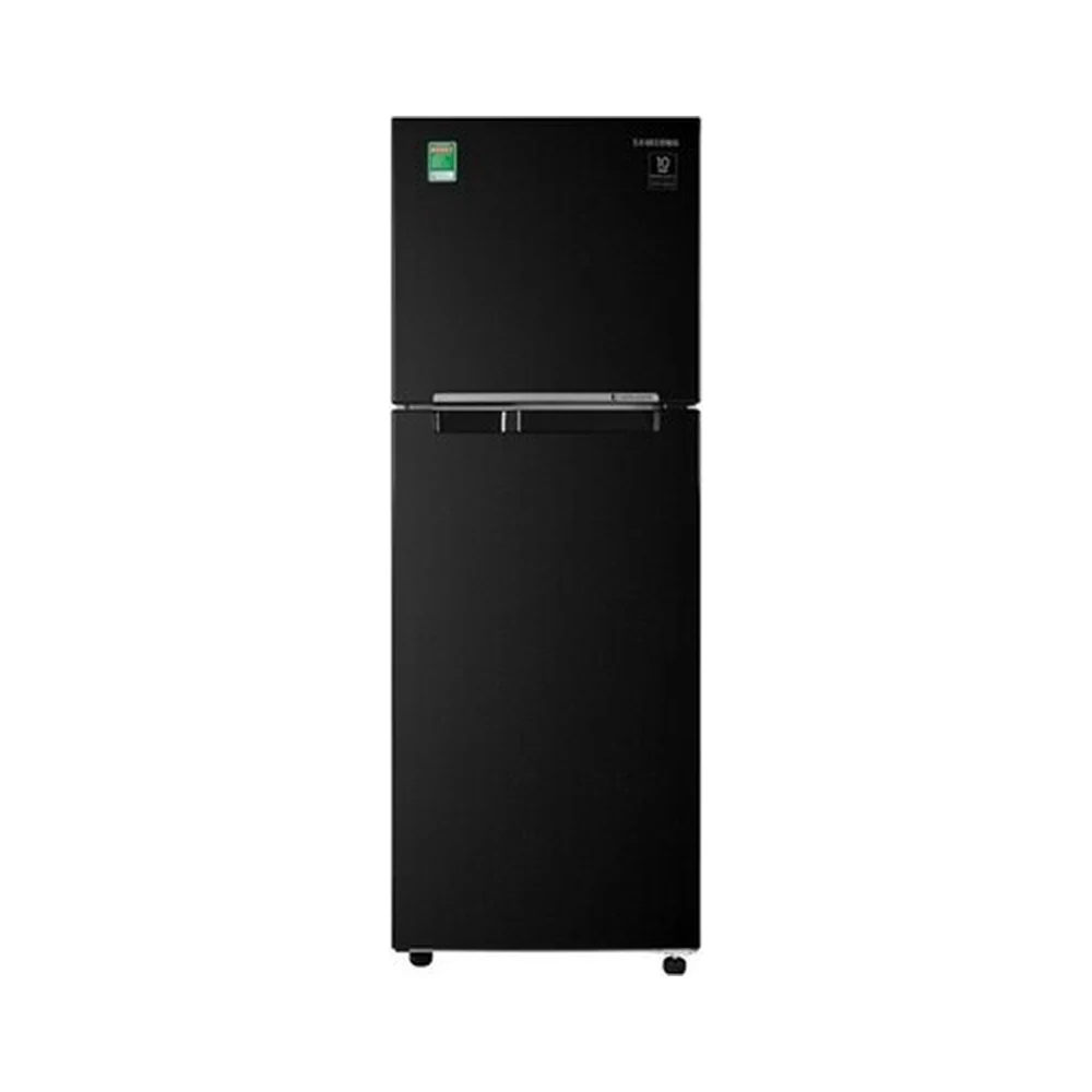 Tủ lạnh Samsung Inverter 236 lít RT22M4032BU/SV