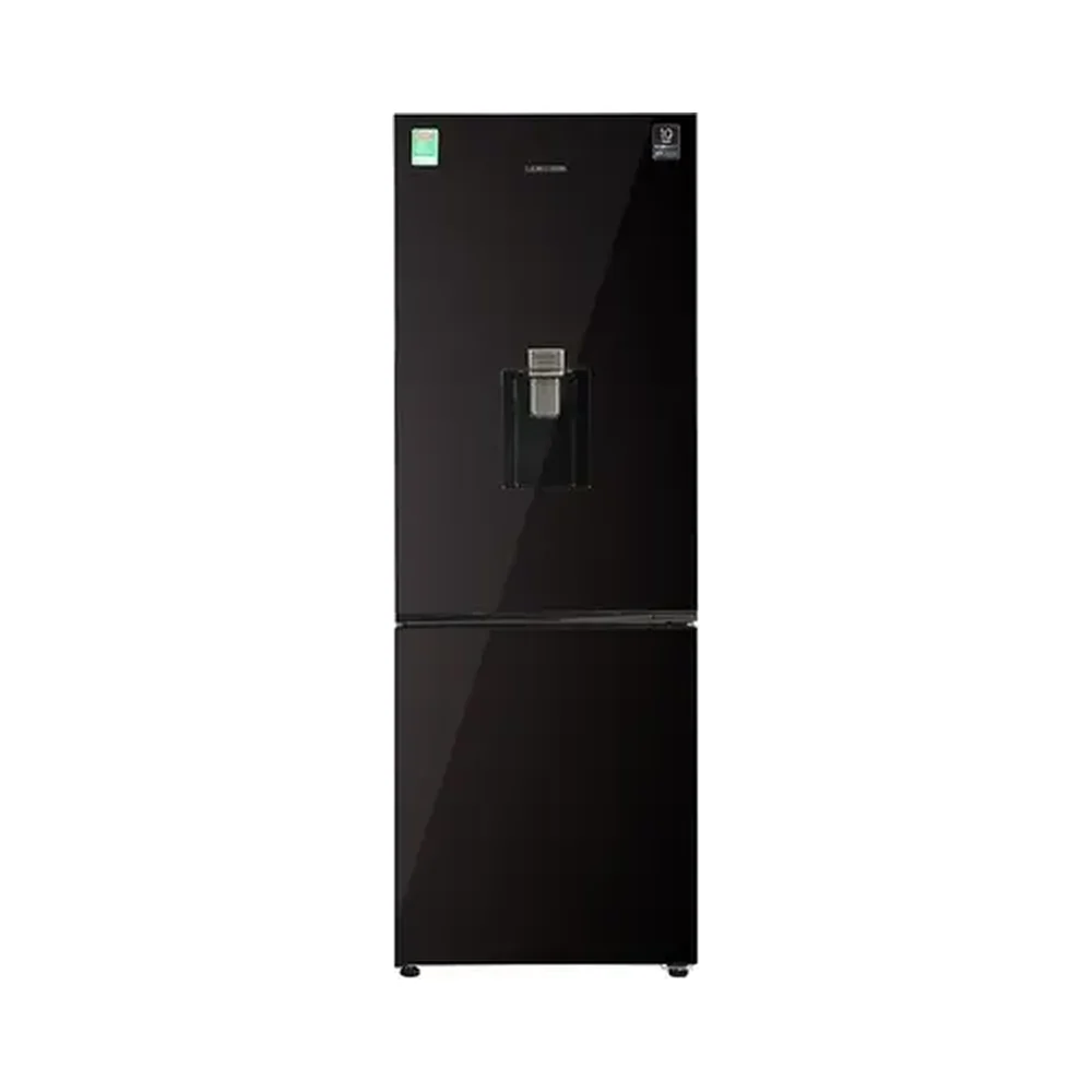 Tủ lạnh Samsung Inverter 307 lít RB30N4190BY/SV