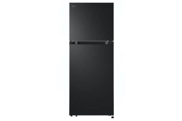 Tủ lạnh LG Inverter 217 lít LTB21BLMI